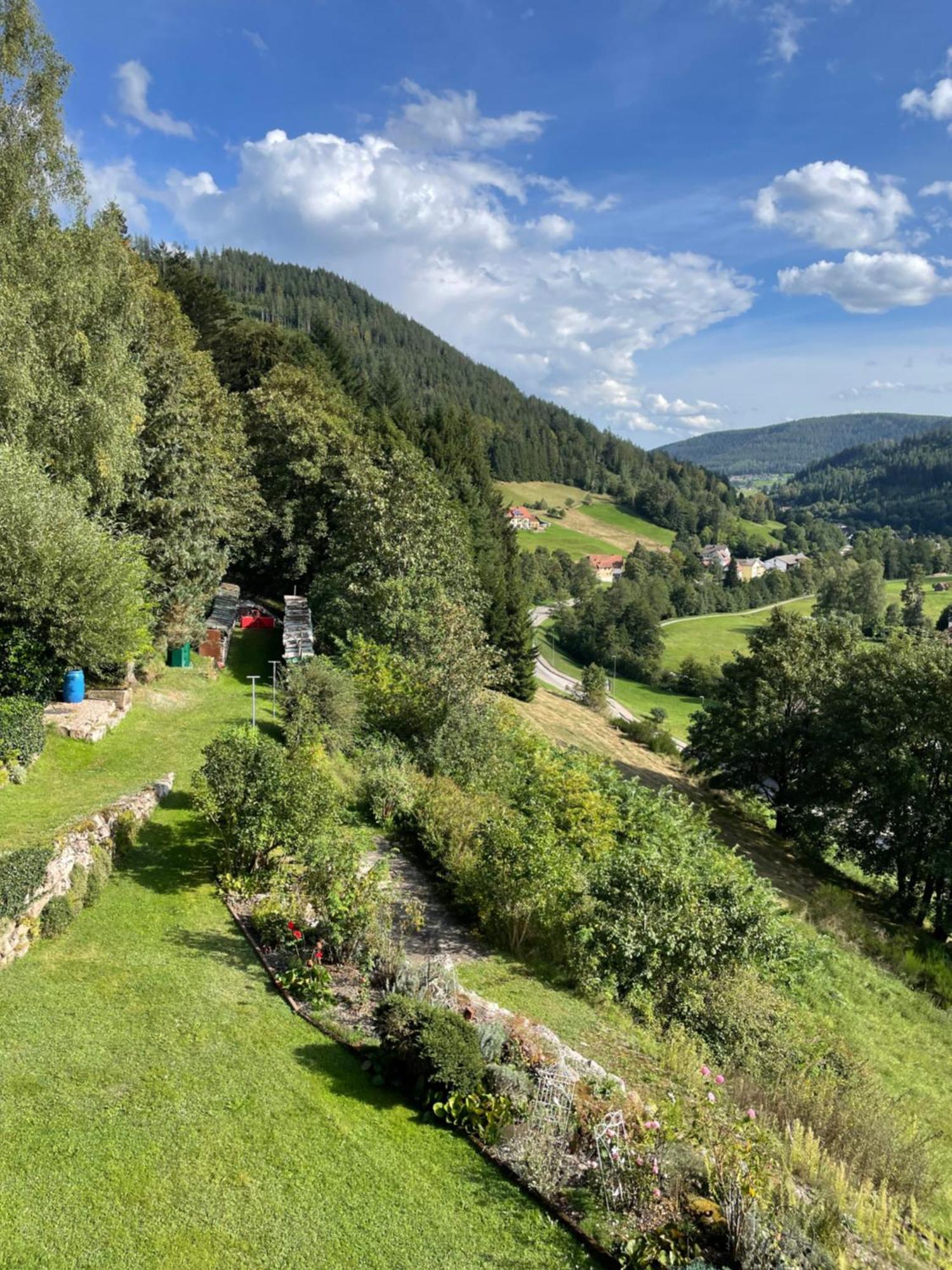 Altes Berghaus Apartamento Obertal  Exterior foto